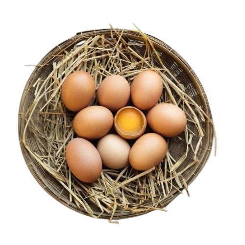 Brown Chicken Eggs