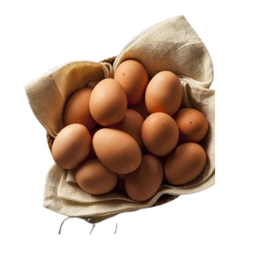 Brown Eggs