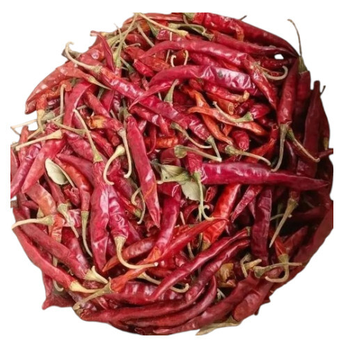 Guntur Dry Red Chilli - Flavor: Spicy