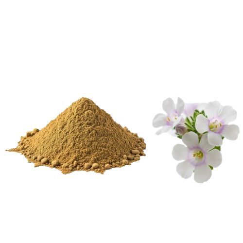 Bacopa Extract