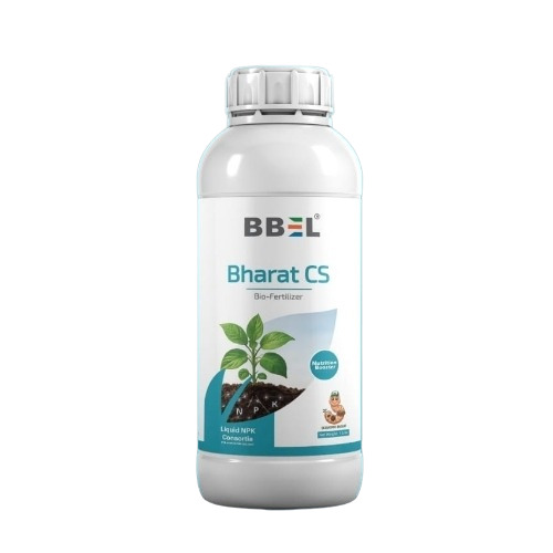 Bio Fertilizers