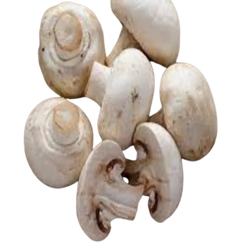 Button Mushroom White Mushroom - Processing Type: Baked