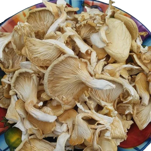 Dried Oyster Mushroom - Processing Type: Baked