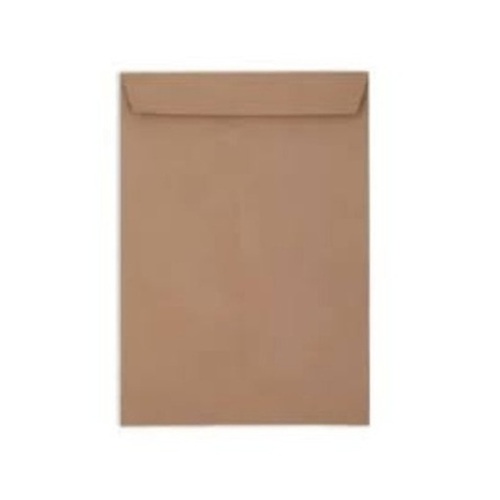Brown Paper Envelopes