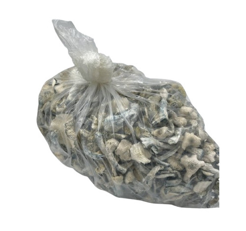 Medicinal Mushroom - Color: Black