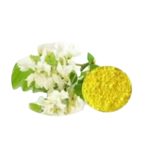 Rutin Flavonoid