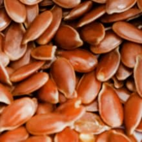 Flax Seed