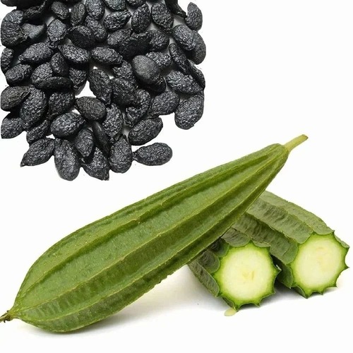 Ridge Gourd Seeds