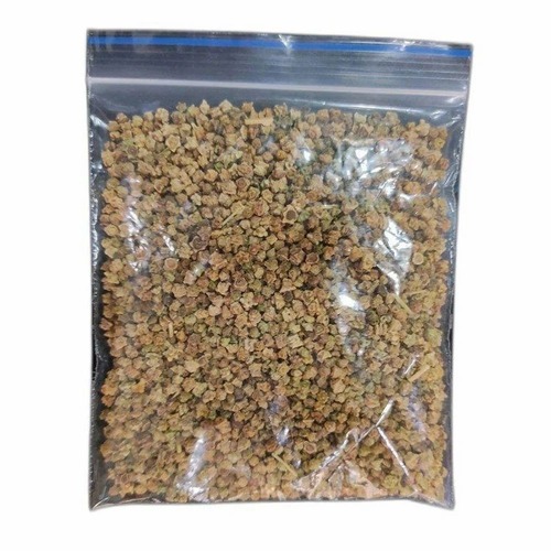 Spinach Seeds - Color: Brown