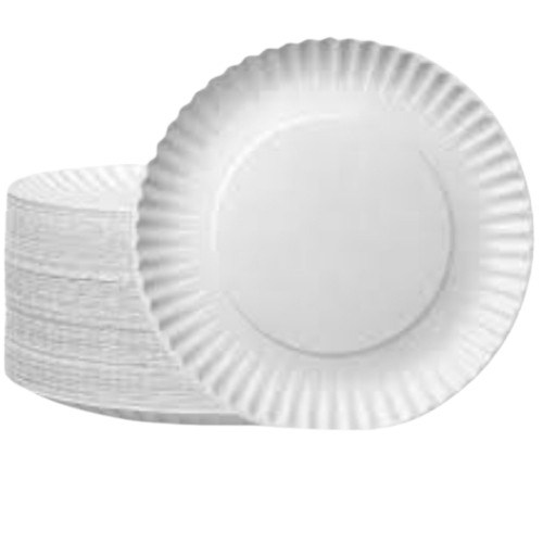 White Paper Plate