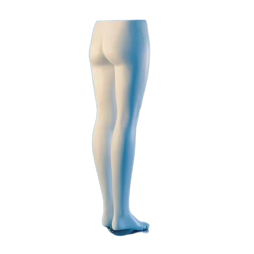 Female Legs