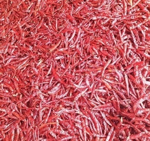 Dry Red Chillies
