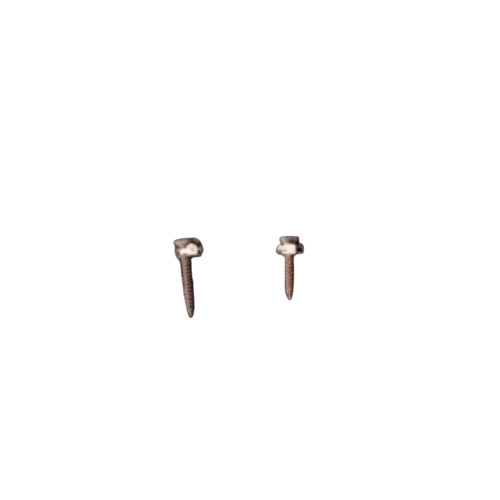 Dry Wall Screw
