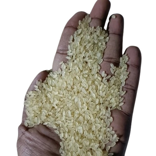 Ir64 Short Grain Rice