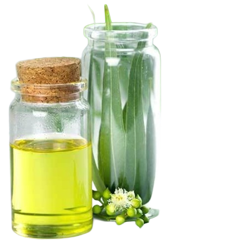 Eucalyptus Oil