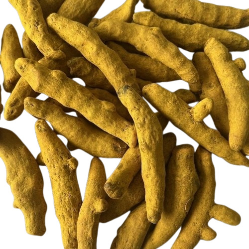 Salem Turmeric Finger