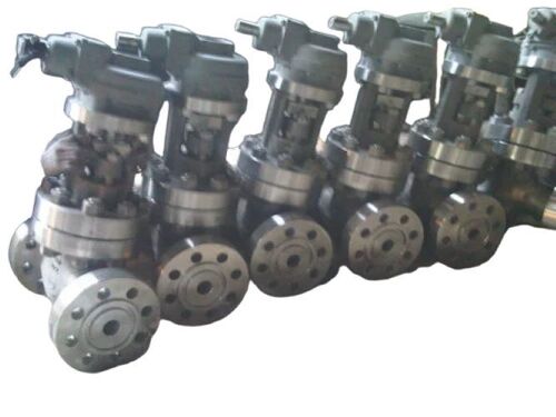 Stainless Steel Globe Valve - Color: Any