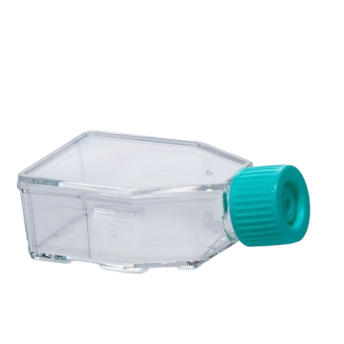 Tissue Culture Flasks