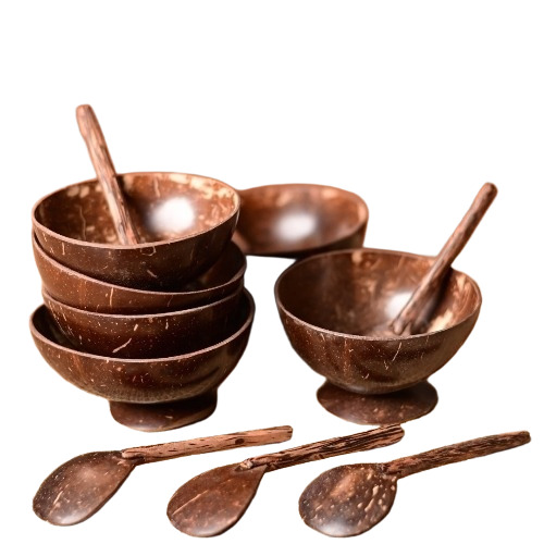 Coconut Bowl