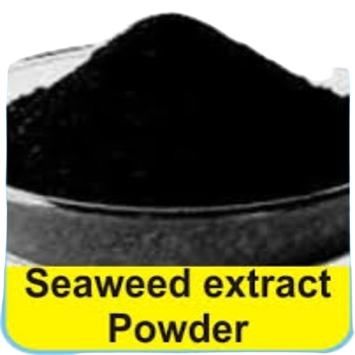 Seaweed Extract Powder