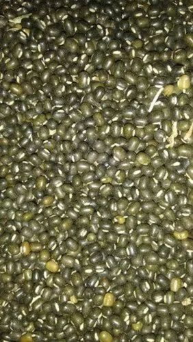 Black Gram Pulses