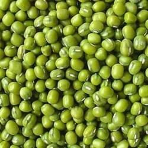 Green Mung Bean