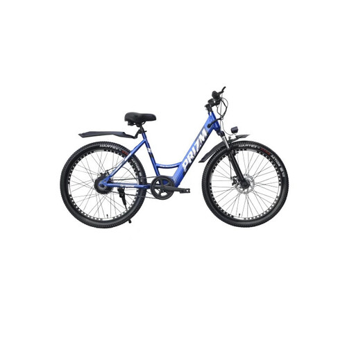 Neelam Lady Bicycle