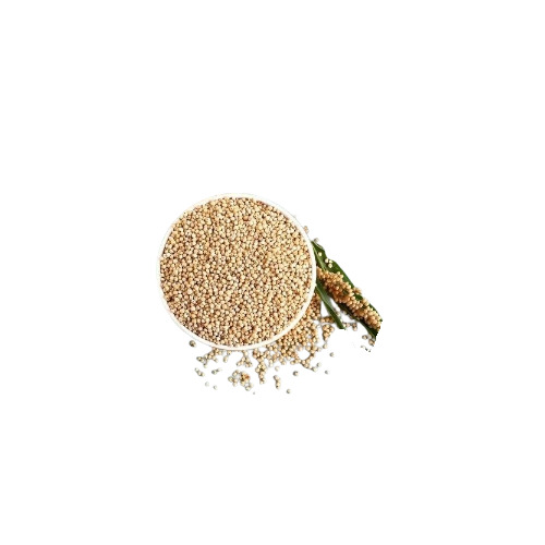 Organic Jowar Grain
