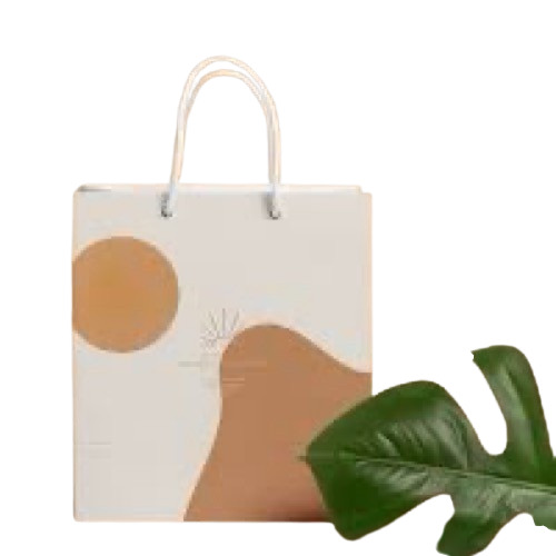 Paper Carry Bag