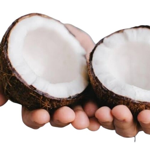 Coconut Fruit - Color: Brown