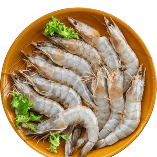 Karikadi Shrimp