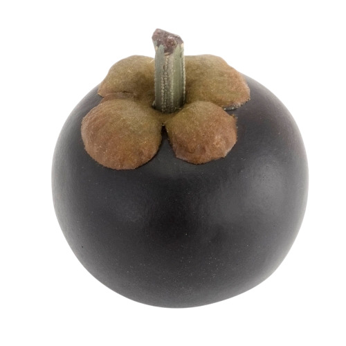 Mangosteen Fruits
