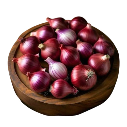 Red Fresh Onion