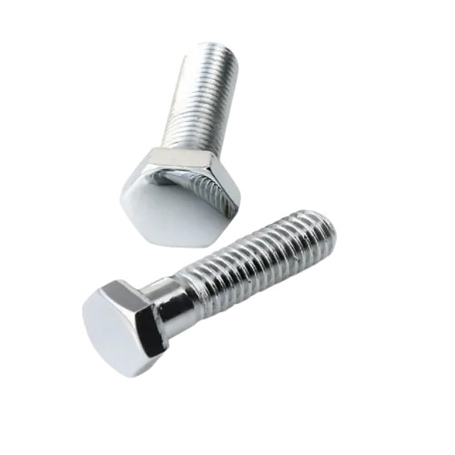 Stainless Steel Bolt