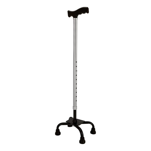 Walking Stick