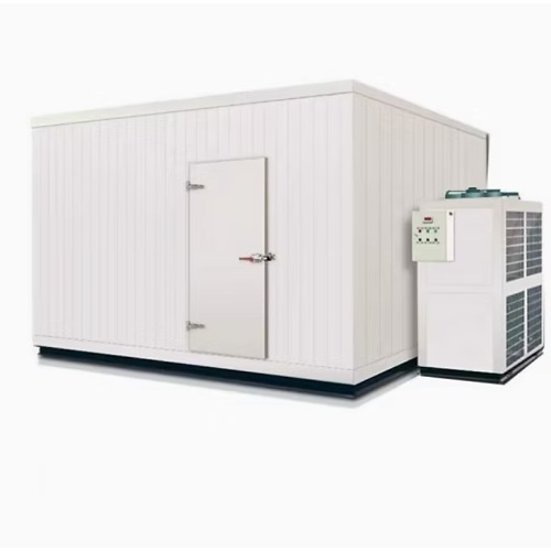 Chicken Cold Storage Unit