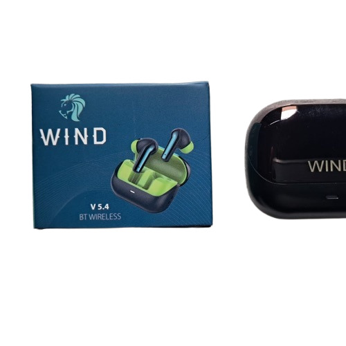Wind Dq081 Wireless Earbuds