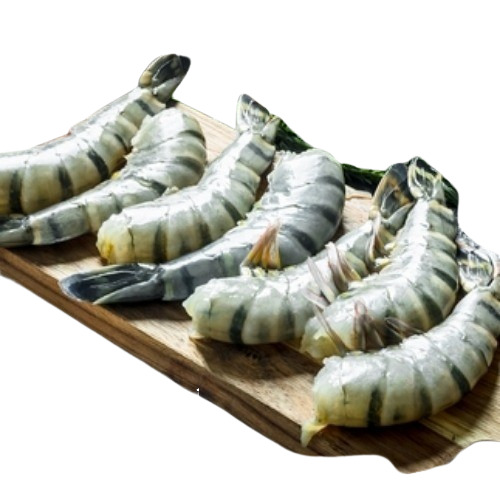 Black Tiger Shrimp