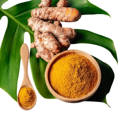 Fresh Turmeric Powder