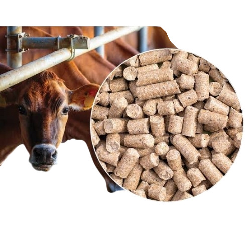 Granule Cattle Feed