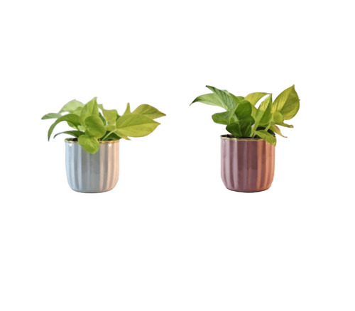 Metal Planter