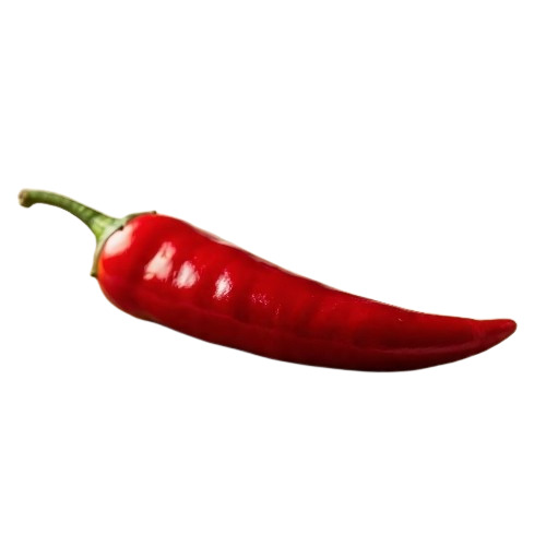Red Chilli