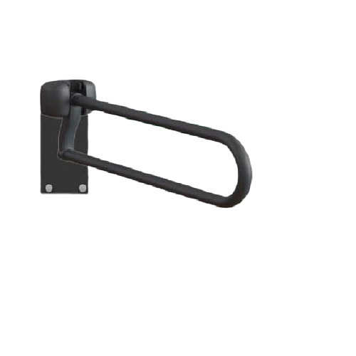Swinging Liftup Arm Support Grab Bar