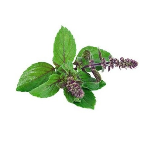 Tulsi Leaves