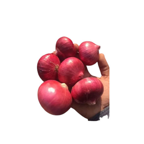 Nashik Red Onions