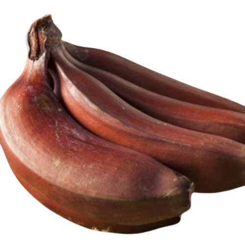 Farm Fresh Red Bananas