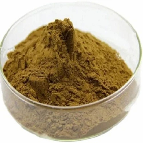 Solanum Nigrum Makoi Extract Powder