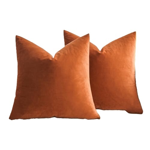 Decorative Pillow