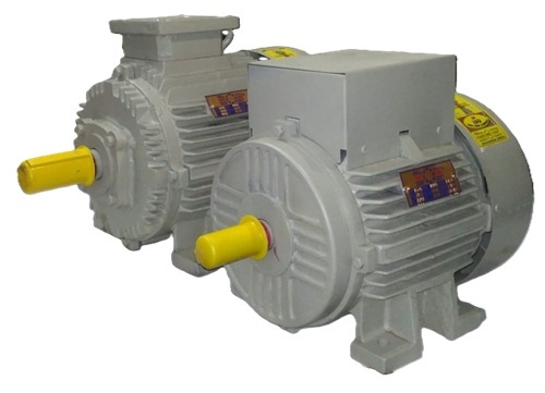 Three Phase Electric Motor - Color: Grey