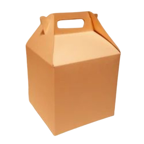 Corrugated Packaging Boxes